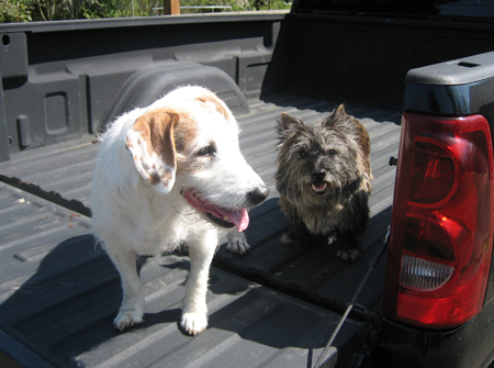 copilots